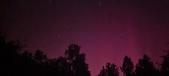 Enlarge photo 178