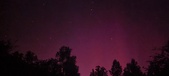 Enlarge photo 177