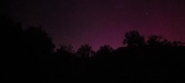 Enlarge photo 176