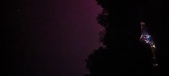 Enlarge photo 173