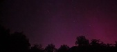 Enlarge photo 169