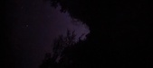Enlarge photo 170