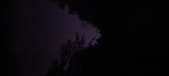 Enlarge photo 171