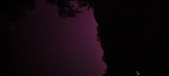 Enlarge photo 167