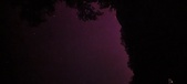 Enlarge photo 164