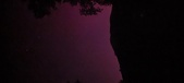 Enlarge photo 162