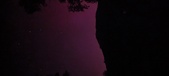 Enlarge photo 157