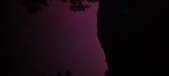 Enlarge photo 156