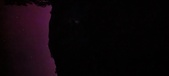 Enlarge photo 153