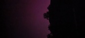 Enlarge photo 137