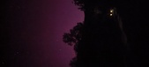 Enlarge photo 136