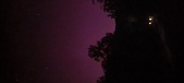 Enlarge photo 135