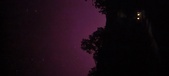 Enlarge photo 133
