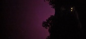 Enlarge photo 131