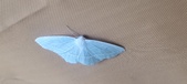 Enlarge photo 128
