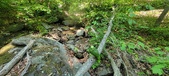 Enlarge photo 126