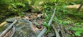 Enlarge photo 125