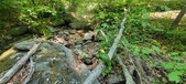 Enlarge photo 124