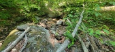Enlarge photo 120