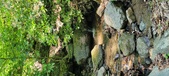 Enlarge photo 121