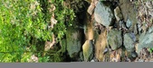 Enlarge photo 165