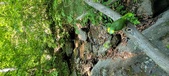 Enlarge photo 122