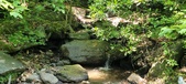 Enlarge photo 119