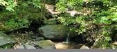 Enlarge photo 158