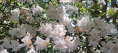 Enlarge photo 214