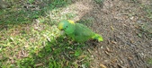 Enlarge photo 210