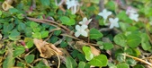 Enlarge photo 209