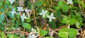 Enlarge photo 205