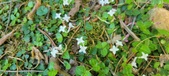 Enlarge photo 206