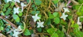 Enlarge photo 207