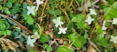Enlarge photo 208