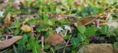 Enlarge photo 204