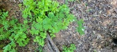 Enlarge photo 200