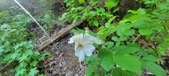 Enlarge photo 198