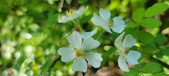Enlarge photo 194