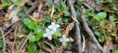 Enlarge photo 195