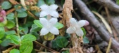 Enlarge photo 196