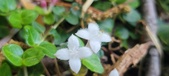 Enlarge photo 197