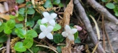Enlarge photo 193