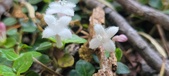 Enlarge photo 192