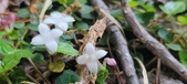 Enlarge photo 189
