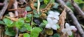 Enlarge photo 188