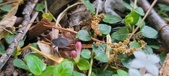 Enlarge photo 187