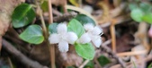 Enlarge photo 186