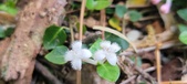 Enlarge photo 185