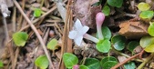 Enlarge photo 183